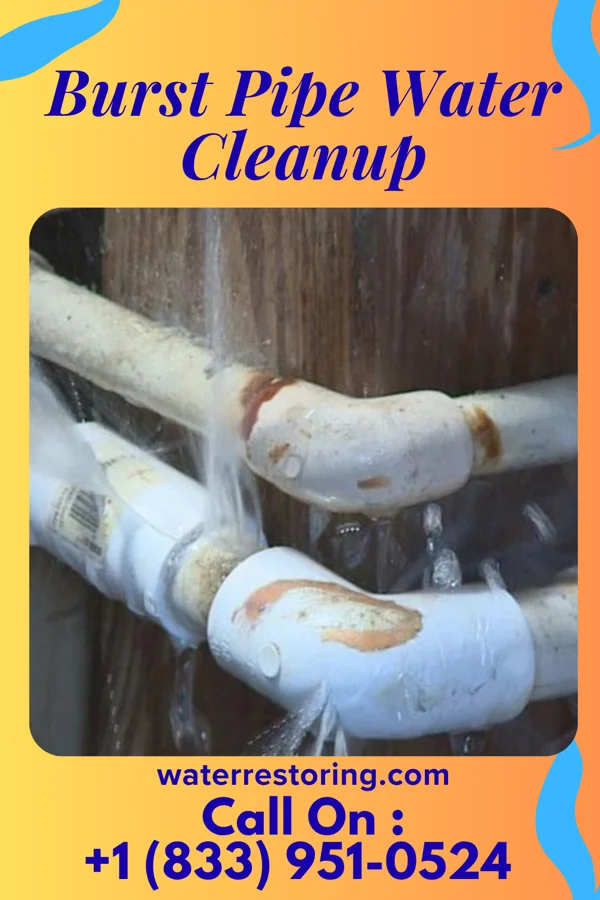 Burst Pipe Water Cleanup in Bowling Green, MD