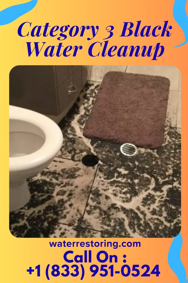 Category 3 Black Water Cleanup in Bowling Green, MD