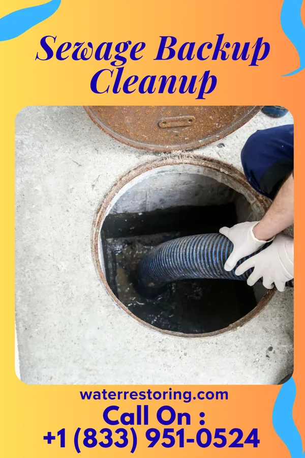 Sewage Backup Cleanup in Bowling Green, MD