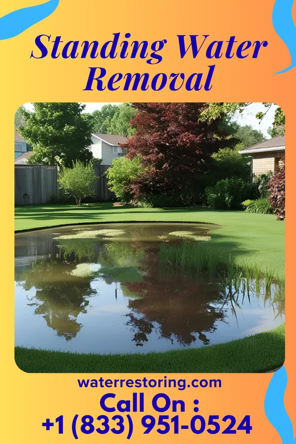 Standing Water Removal in Bowling Green, MD